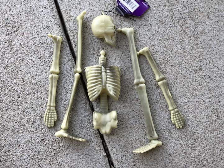 Start by pulling apart a dollar store skeleton.