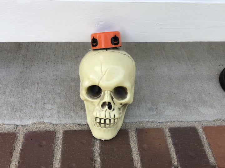 Place the solar light into the skull.