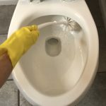 Scrub your toilet and flush.Want to see my post on How To Clean Your Toilet From Top To Bottom? https://chascrazycreations.com/how-to-clean-your-toilet-from-top-to-bottom/