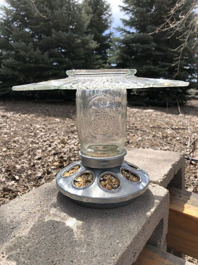 DIY thrift store bird feeder shown in the yard. 