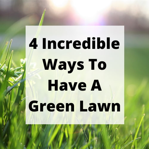 4 Incredible Ways To Have A Green Lawn