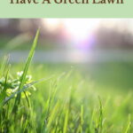 Do you want a green lawn? Today, I'm going to share how we take care of our lawn with you from mowing, dead spots, weeds, and watering! 