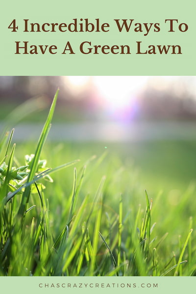 Do you want a green lawn?  Today, I'm going to share how we take care of our lawn with you from mowing, dead spots, weeds, and watering! 