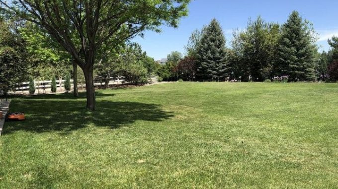 Here's a picture of our yard. It's a big lot and it always needs work - don't they all? We have fescue grass which is better in our dry Colorado environment. Plus wait until you see the new Worx Landroid mower we got - it's a robot and saves us a ton of time! We started by staking the wire around the perimeter of our yard for our mower so it knows where to stop.