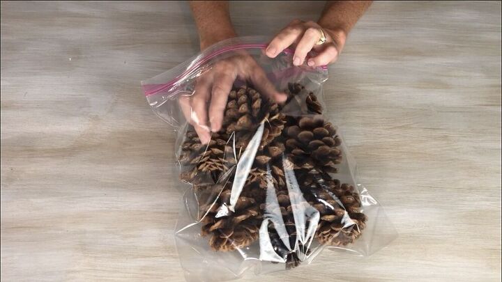 The first way to make cinnamon pine cones is to place them in a baggie or container of your choice.