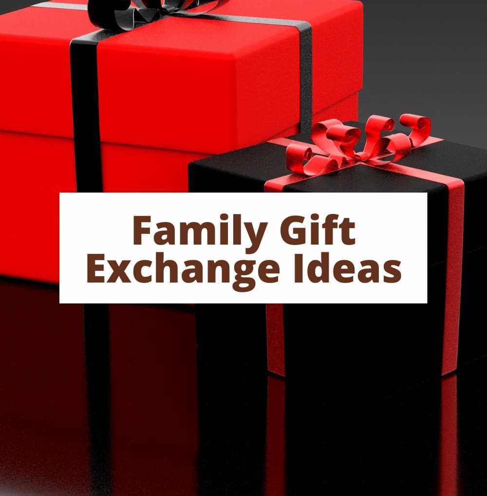 What are some good gift exchange ideas? This holiday season will be different from others, gifts could be hard to find, and you might want to get a head start now. Instead of the traditional gift guides, I'm going to share our family's wish lists for our family gift exchange ideas.