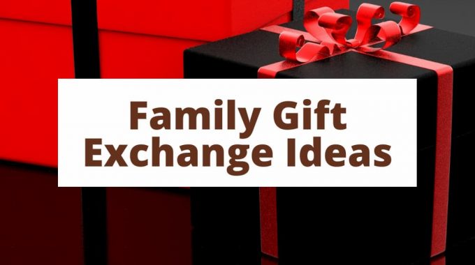 What are some good gift exchange ideas? This holiday season will be different from others, gifts could be hard to find, and you might want to get a head start now. Instead of the traditional gift guides, I'm going to share our family's wish lists for our family gift exchange ideas.