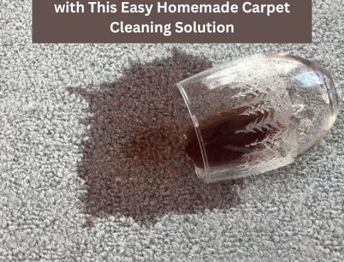 Are you asking how to get stains out of carpet? Well, you're in luck because in this post I'm sharing a homemade carpet cleaning solution that will get rid of most stubborn carpet stains!