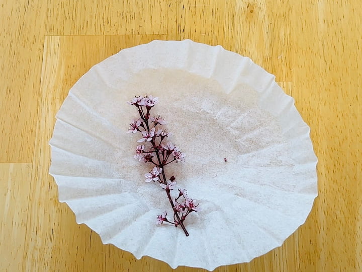 flowers on coffee filter