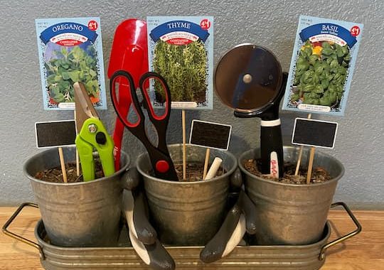 I added the chalk so they would have it for the garden markers. I added pruners to help care and shape the plants. I added items that would be helpful in the kitchen to use the herbs like the scissors, pizza cutter, and rubber scraper. I placed them into the dirt representing flowers or the plant.