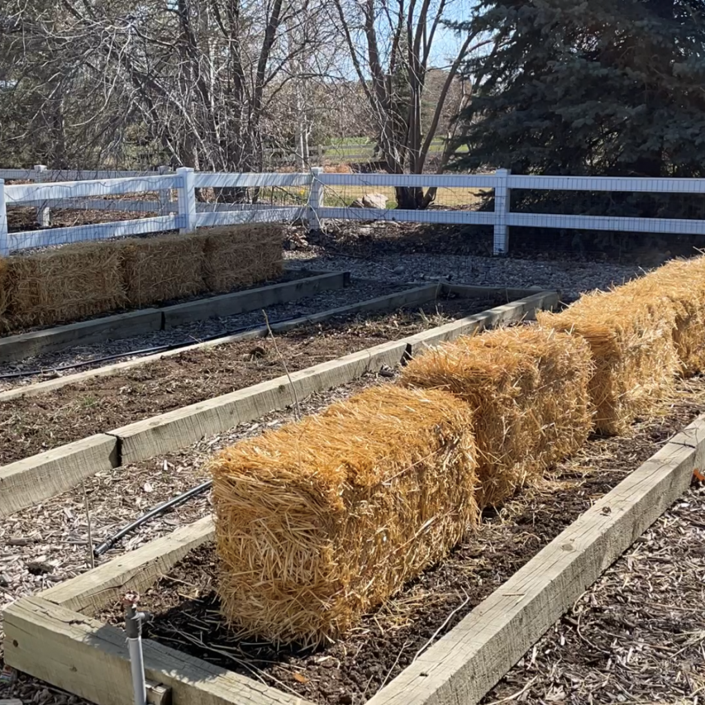 We have 3 rows in our garden, and we purchased 10 bales so that I could put 5 bales in the last row, and 5 bales in the first row.  You can have as many or as few bales as you want to grow.  This is very adaptable for just about any yard.