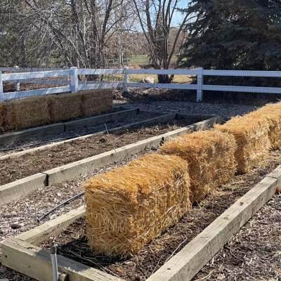 Gardening with Straw Bales Set Up - Chas' Crazy Creations