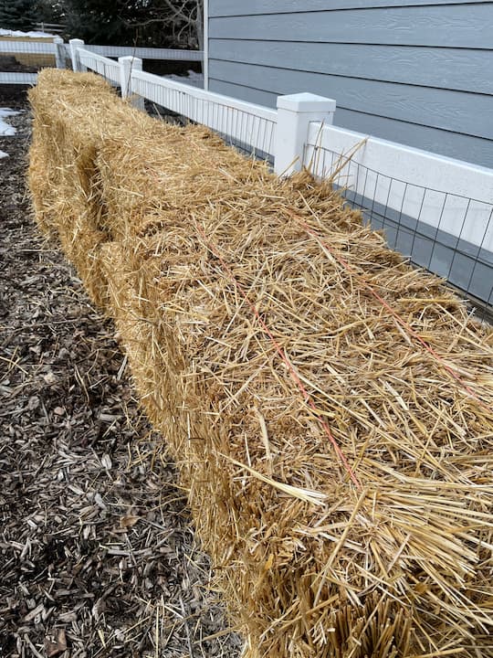 I stacked my bales along my fence to wait for the snow to melt.  You can buy them in the fall and keep the bales all winter long, or you can wait until spring to get your bales.  