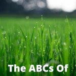 Do you want to know some lawn care tips? When used to its full potential, the backyard can quickly establish itself as your happy place. Sadly, very few homeowners achieve this goal because they overcomplicate the situation. Frankly, the process can be made very simple by focusing on your ABCs.