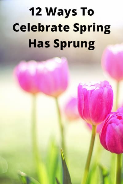 What does the term spring has sprung mean?  It means the end of winter, and things start growing like grass, flowers, and new life.