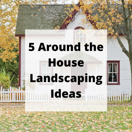 5 Around the House Landscaping Ideas