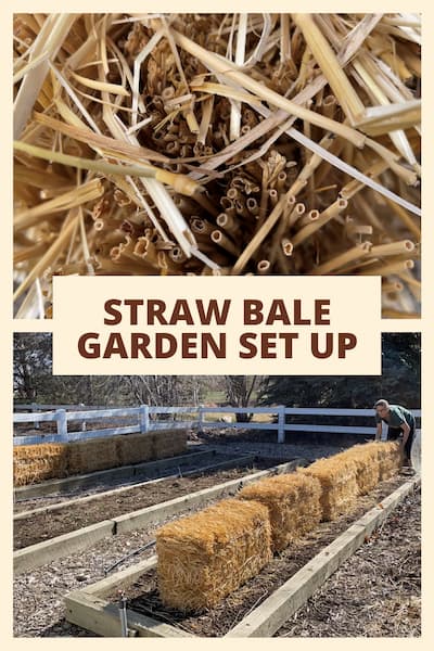 Have you heard of gardening with straw bales? I'll share with you why I'm trying it, and how to set it up in your garden.