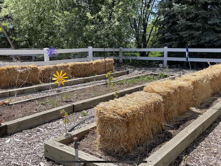 For those of you who missed it, you can find the tutorial about Gardening with Straw Bales Set Up