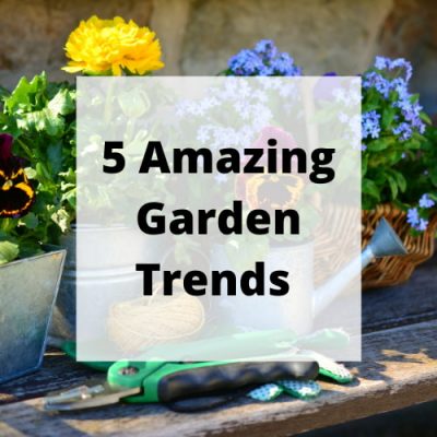 Now that the summertime has begun, you’ll want to get your garden looking beautiful. There are plenty of garden trends to follow this year, so let’s explore some of your best options.