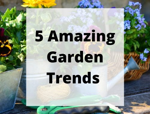 Amazing Garden Trends