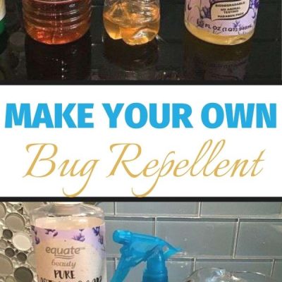 Make your own DIY bug repellents and traps for an inexpensive alternative to store bought products.