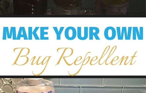 Make your own DIY bug repellents and traps for an inexpensive alternative to store bought products.