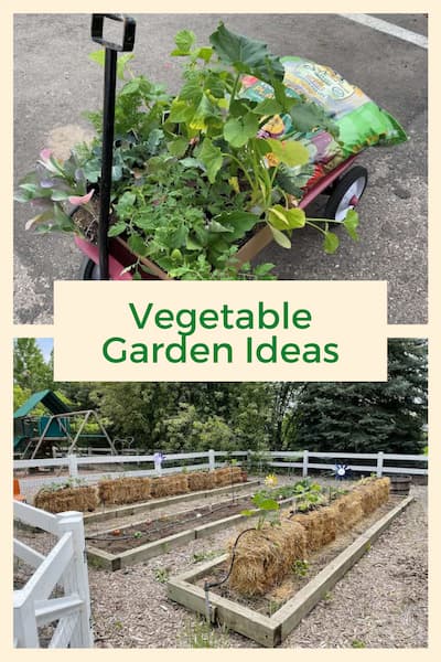 Do you want some vegetable garden ideas? I'm planting vegetables in straw bales, and in a garden bed, and I'm sharing my process with you.
