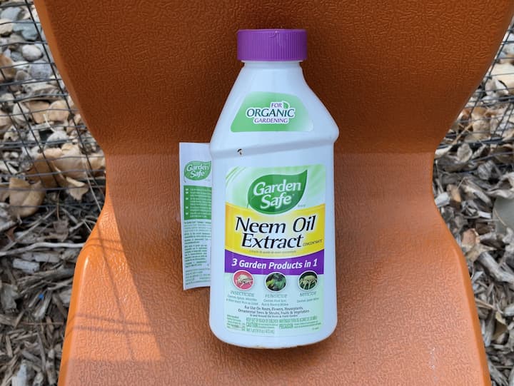 I'm a big fan of Garden Safe's Organic Fungicide 3 and Neem Oil. With there being so many bugs this year, I knew the natural predictors just weren't going to keep up with the fast multiplying. I followed the instructions on the bottle and sprayed my entire garden.