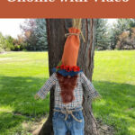 Do you love gnomes? I'm sharing how to make an awesome and easy autumn DIY gnome with items from the thrift and dollar store!