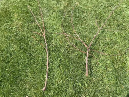 Awesome and Easy DIY Fall Tree Branch with Video - Chas' Crazy Creations