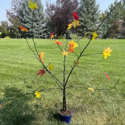 Have you seen the lighted fall trees? Ouch, they can be expensive and I'm going to share my own DIY fall tree using a branch from my yard.