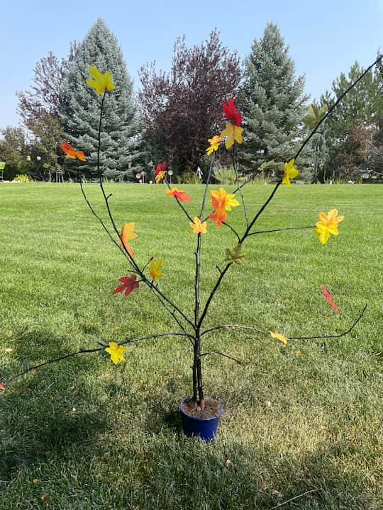 Awesome and Easy DIY Fall Tree Branch with Video