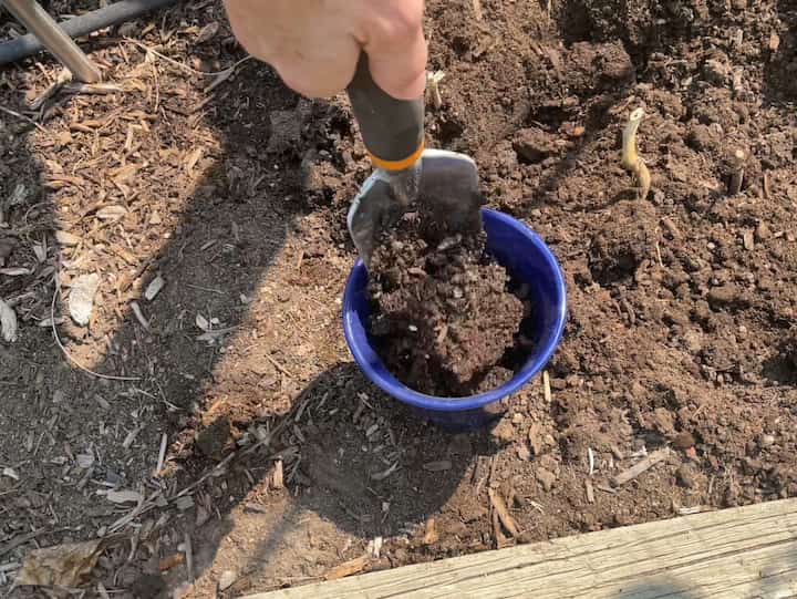 I picked a flower pot that would be big enough to hold the branch.  I filled the flower pot with dirt.  Other things you could use to fill the flower pot include rocks, decorative glass, or concrete.  Anything that will help stabilize the branch in the flower pot.