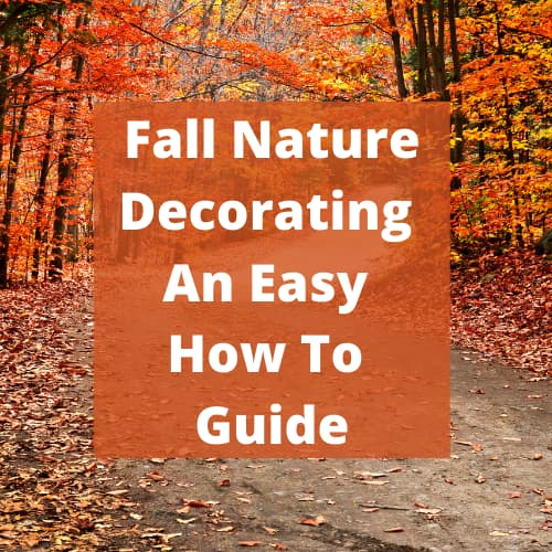 Fall Nature Decorating An Easy How To Guide