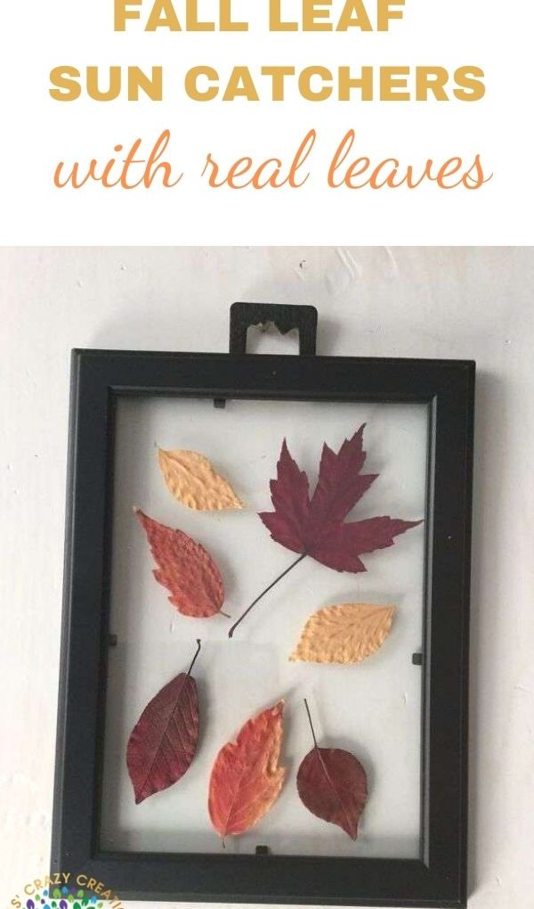 how to make a fall leaf sun catcher
