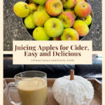 I love apple cider in the fall, and you'd never guess that juicing apples for cider is super easy! Drink it cold or brew it with some cinnamon for a warm treat.