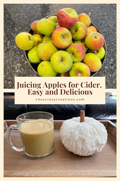 I love apple cider in the fall, and you'd never guess that juicing apples for cider is super easy!  Drink it cold or brew it with some cinnamon for a warm treat.