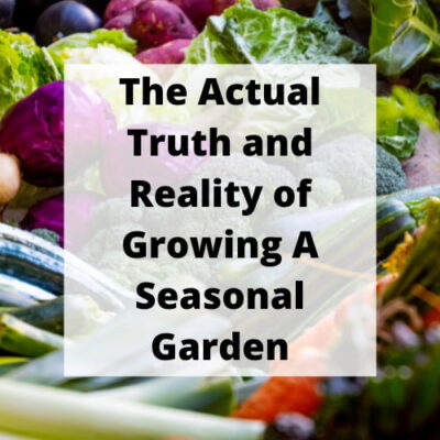 Have you wondered what it takes to grow a seasonal garden? I'm sharing the actual truth and reality of what my journey was this summer.