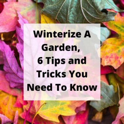 Do you know how to winterize a garden? I have 5 tips you need to know to help you prepare for winter, and get ready for spring.