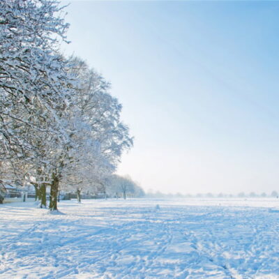 Winterize A Garden, 6 Tips and Tricks You Need To Know - Chas' Crazy ...