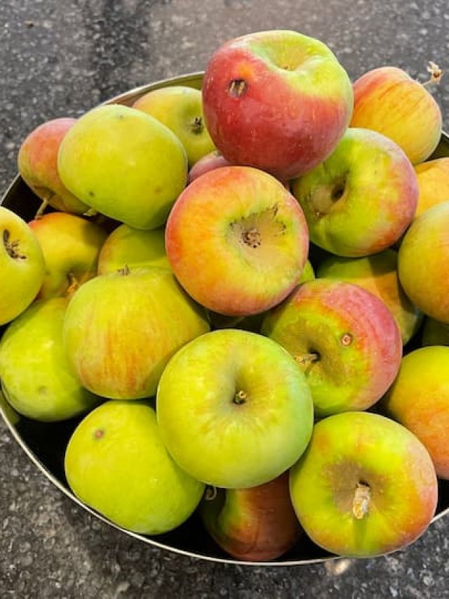 Juicing Apples for Cider, It’s Amazingly Easy and Delicious