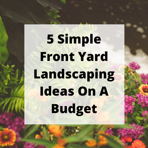 Do you want simple front yard landscaping ideas on a budget? I have 5 trending ideas to share to give you inspiration for your home.