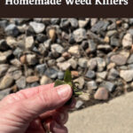 Do you hate weeds? Me too! I'm sharing 3 easy and inexpensive home made weed killers, along with some other tips and tricks.