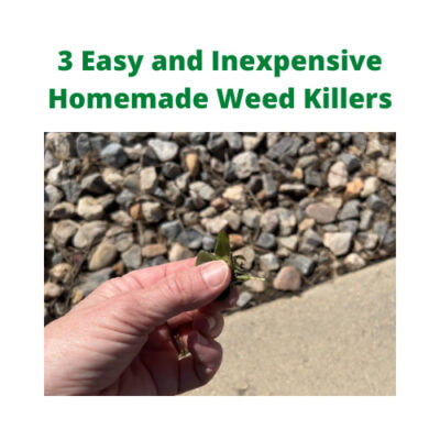 Do you hate weeds? Me too! I'm sharing 3 easy and inexpensive home made weed killers, along with some other tips and tricks.