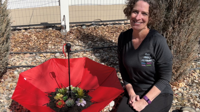 Are you interested in flower gardening for beginners? I have an easy and inexpensive way to get you started.