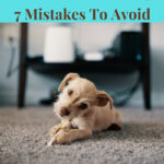 Do you wonder how to clean carpet without a machine? I have 7 mistakes to avoid while caring for your carpet.