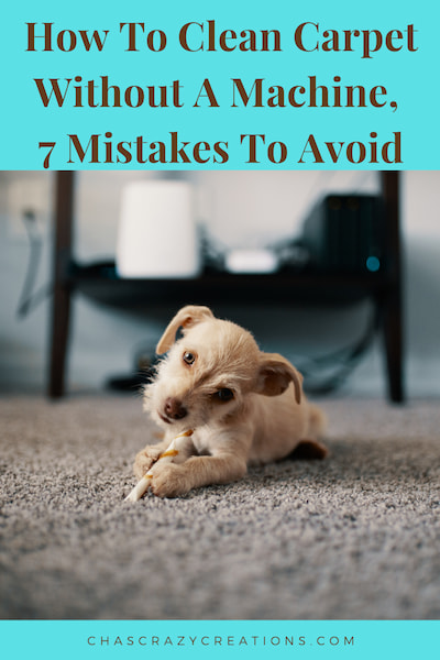 Do you wonder how to clean carpet without a machine? I have 7 mistakes to avoid while caring for your carpet.