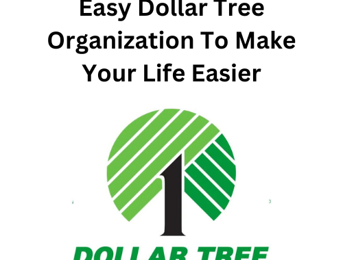 Easy Dollar Tree Organization To Make Your Life Easier