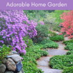 Are you ready to create an adorable home garden? Here is a guide on how to get your yard ready and prepped to be successful.