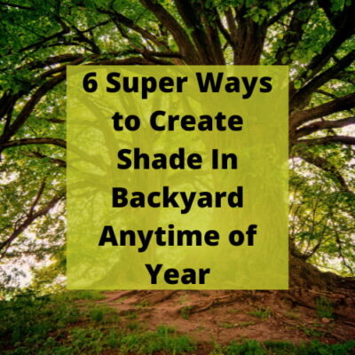 Create shade in backyard? Is this a question you are asking? Here are some super ways to do just that for any time of year.